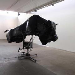 The Bull Rises