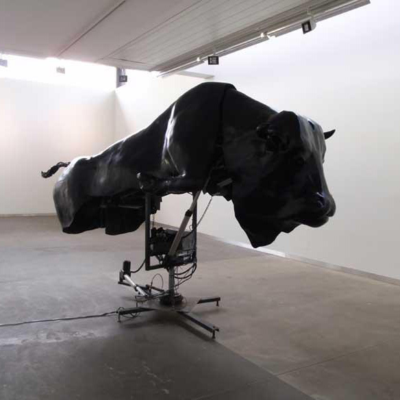The Bull rises
